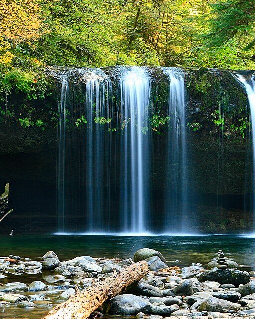 Nature videos